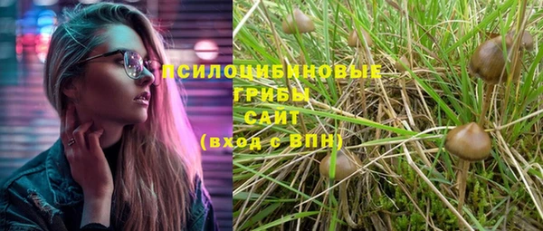 кокаин колумбия Алексин