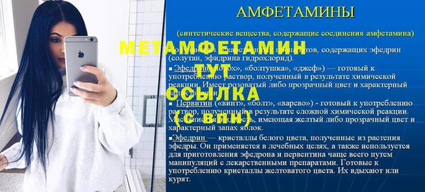 спайс Гусь-Хрустальный