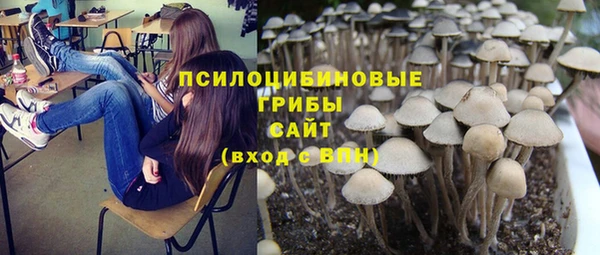 кокаин колумбия Алексин